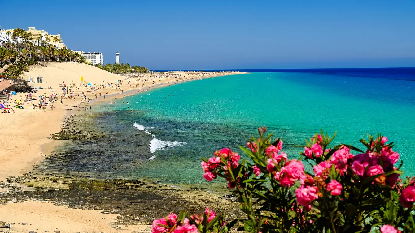 Fuerteventura Deposit2